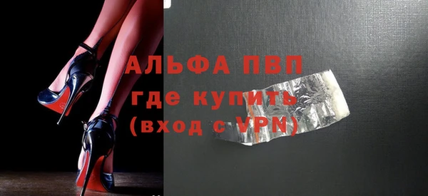 хмурый Пересвет