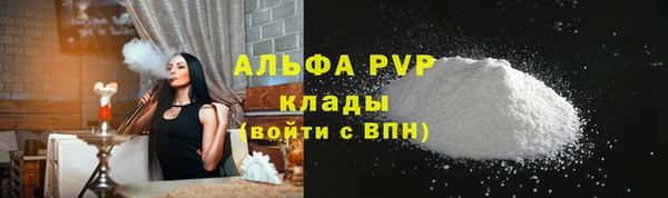 индика Переславль-Залесский