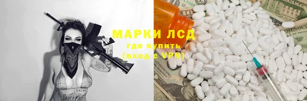 хмурый Пересвет