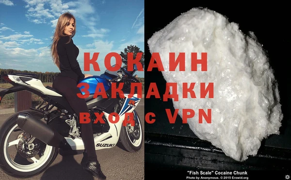 индика Переславль-Залесский