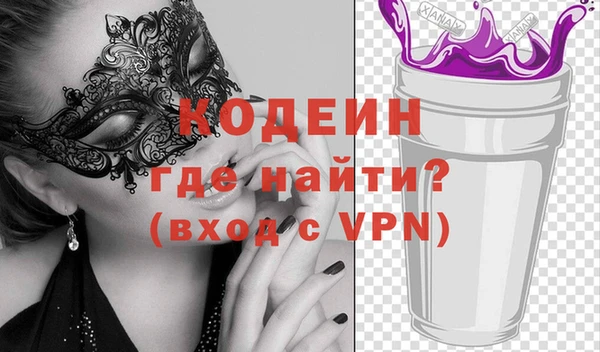 индика Переславль-Залесский